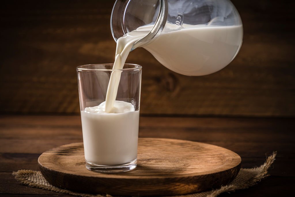 an image of milk, history of milk, origins of milk, the story of milk
