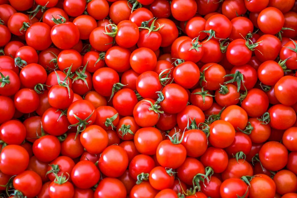 an image of tomatoes, history of tomatoes, the story of tomatoes, the origins of tomatoes